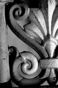Wall_Art_Alphabet_Photography_Art_ 2022